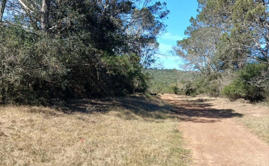 Commercial Property for Sale in Bathurst Rural Eastern Cape